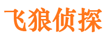 鸡泽飞狼私家侦探公司